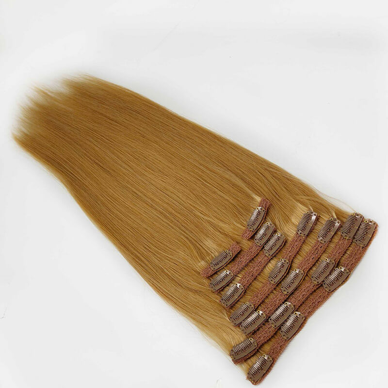 Lace Clip in Human Hair Extensions