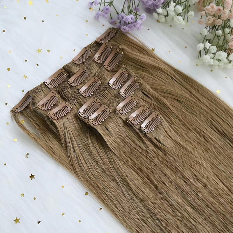 Clip-In Hair Extensions 1